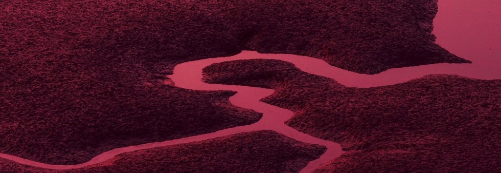 Heartland – 500&nbsp;words